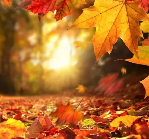 به عصر داستان خوش آمدید